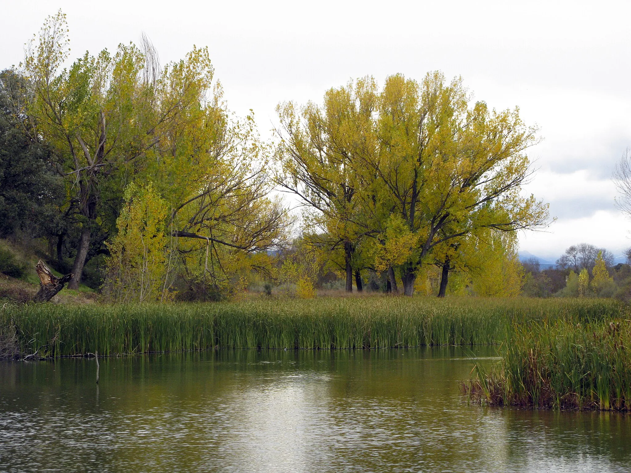 Photo showing: This is a photography of a Special Area of Conservation in Spain with the ID: