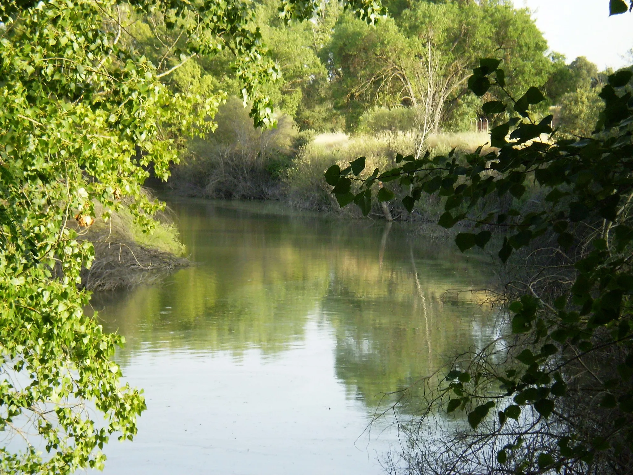 Imagen de El Pardo