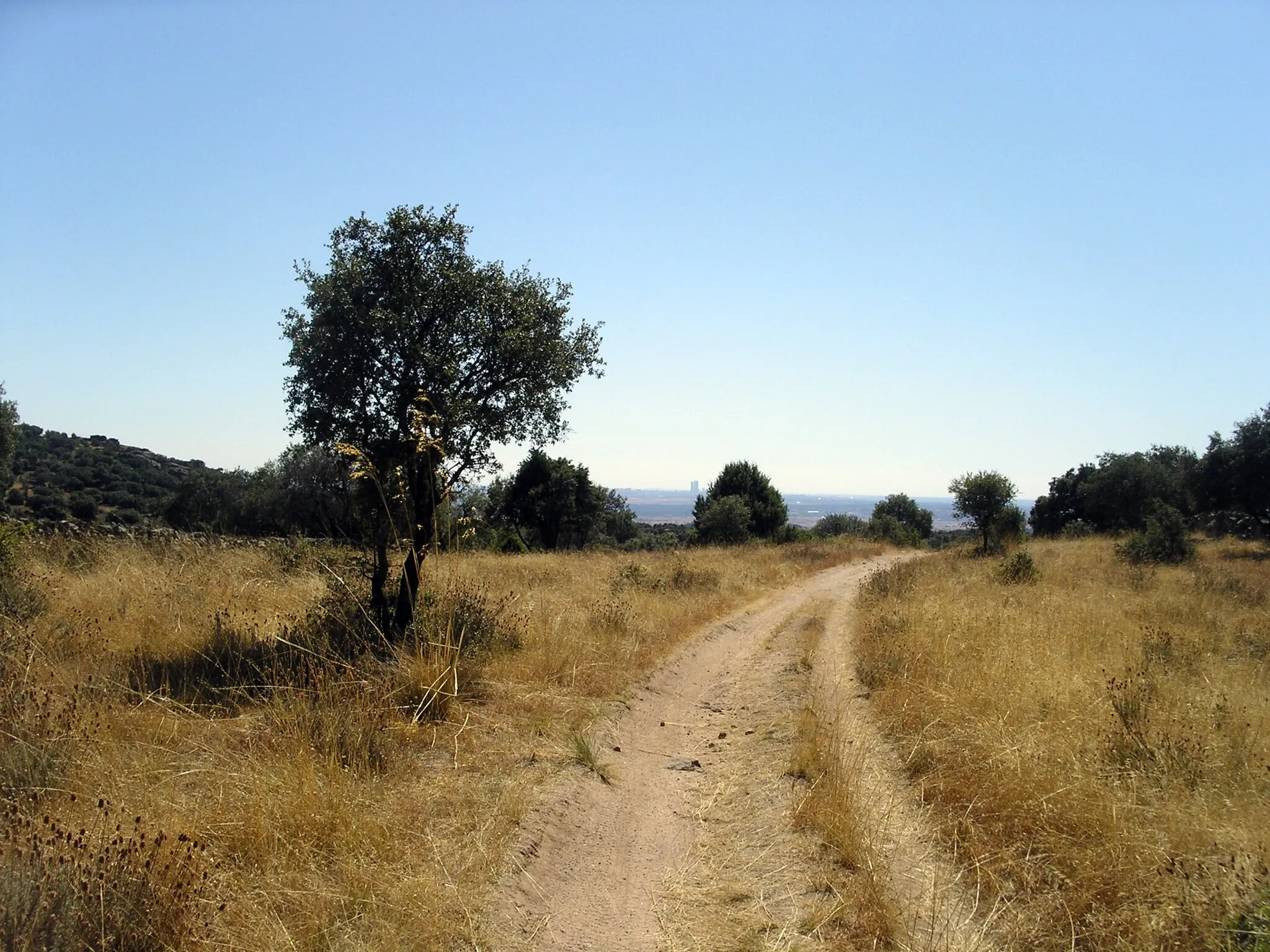 Photo showing: 2011-09-24 Camino por un prado