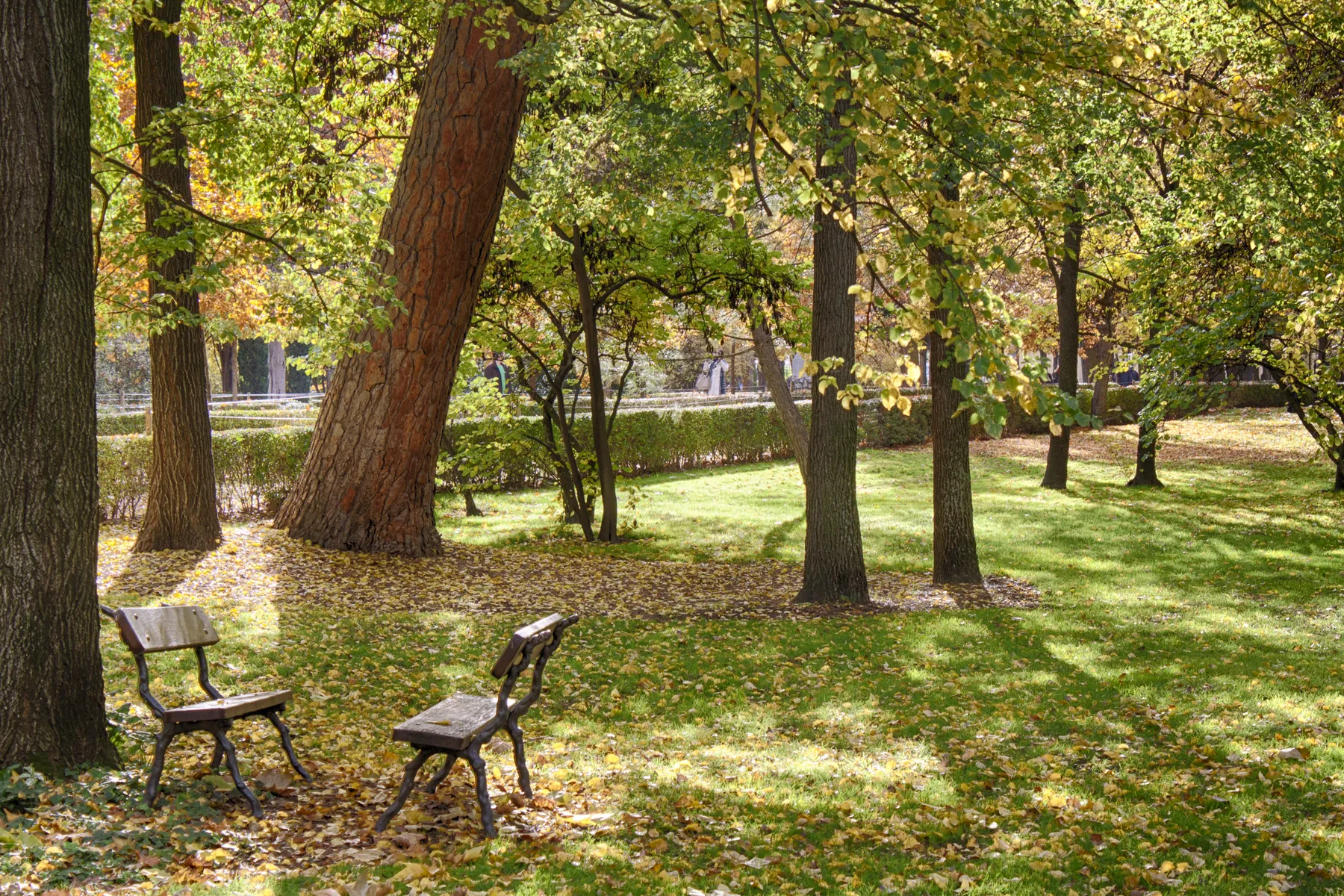 Photo showing: Parque El Capricho
Madrid
Comunidad de Madrid

España