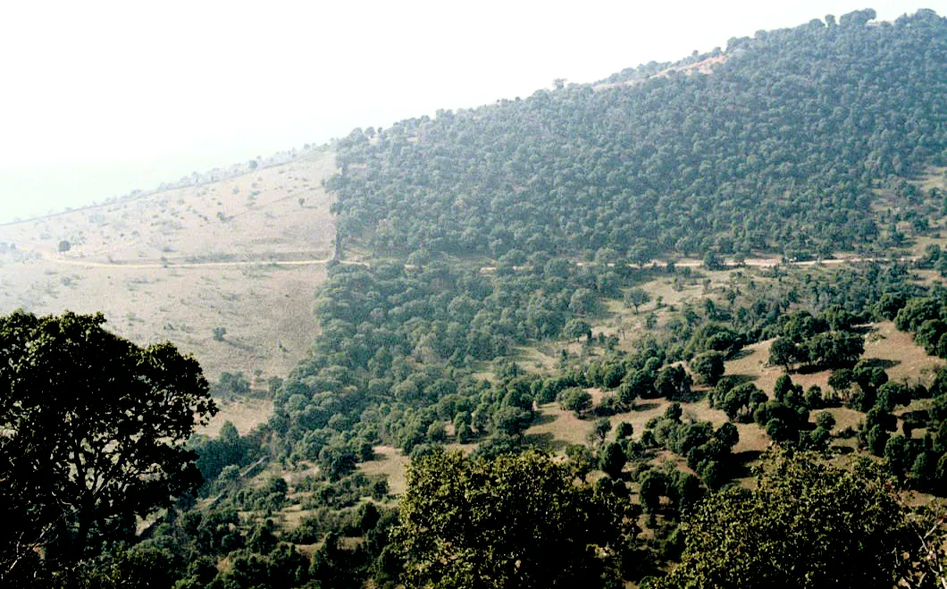 Photo showing: South border of Dehesa de Moncalvillo. San Agustín del Guadalix, Madrid, Spain