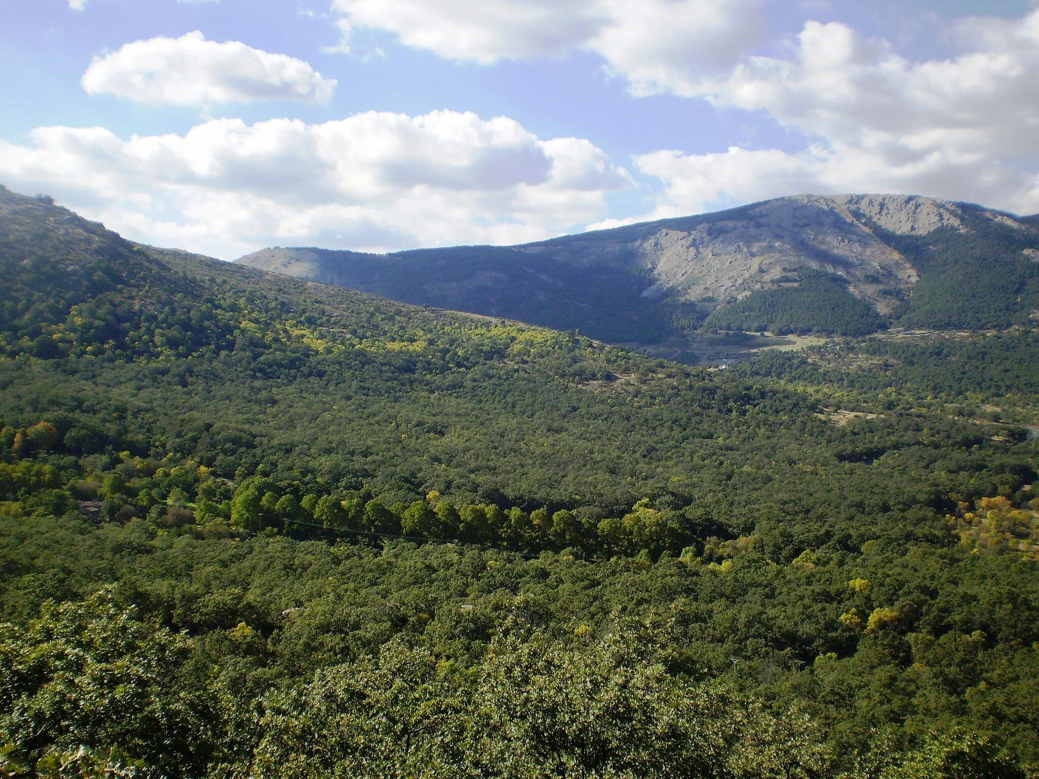 Photo showing: Paraje Pintoresco del Pinar de Abantos y Zona de La Herrería. San Lorenzo de El Escorial. Community of Madrid, Spain