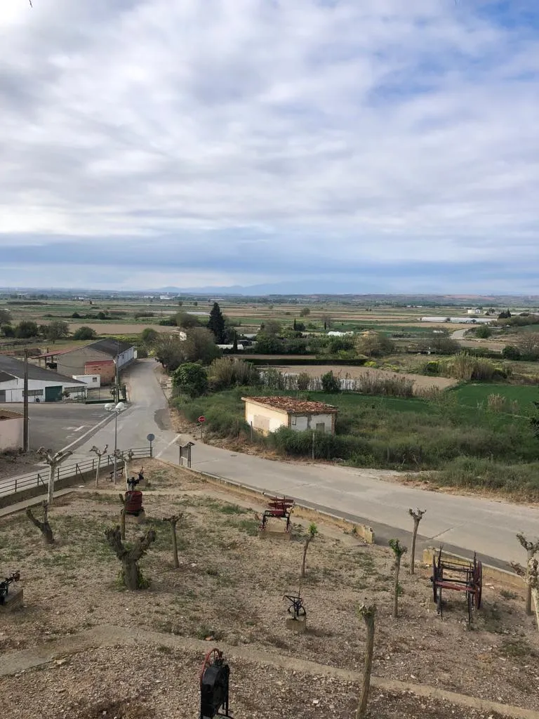 Photo showing: Cadreita. Carretera hacia el Ebro.