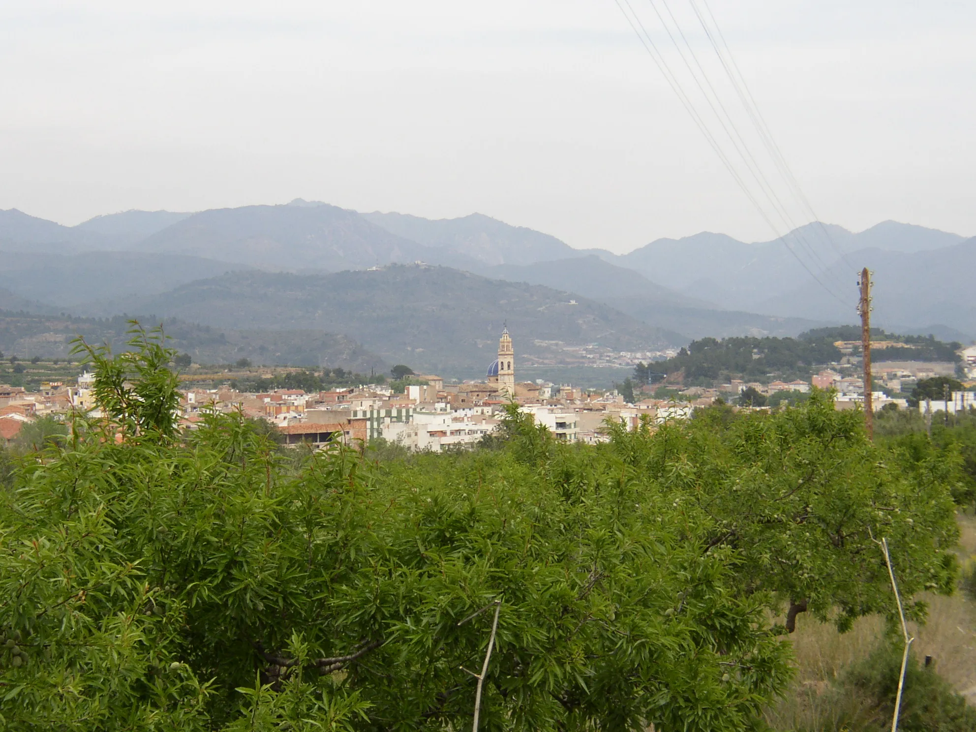 Image of Altura