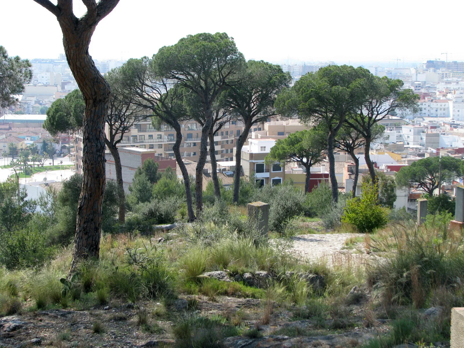 Photo showing: La muntanyeta del Salvador (Alcira).