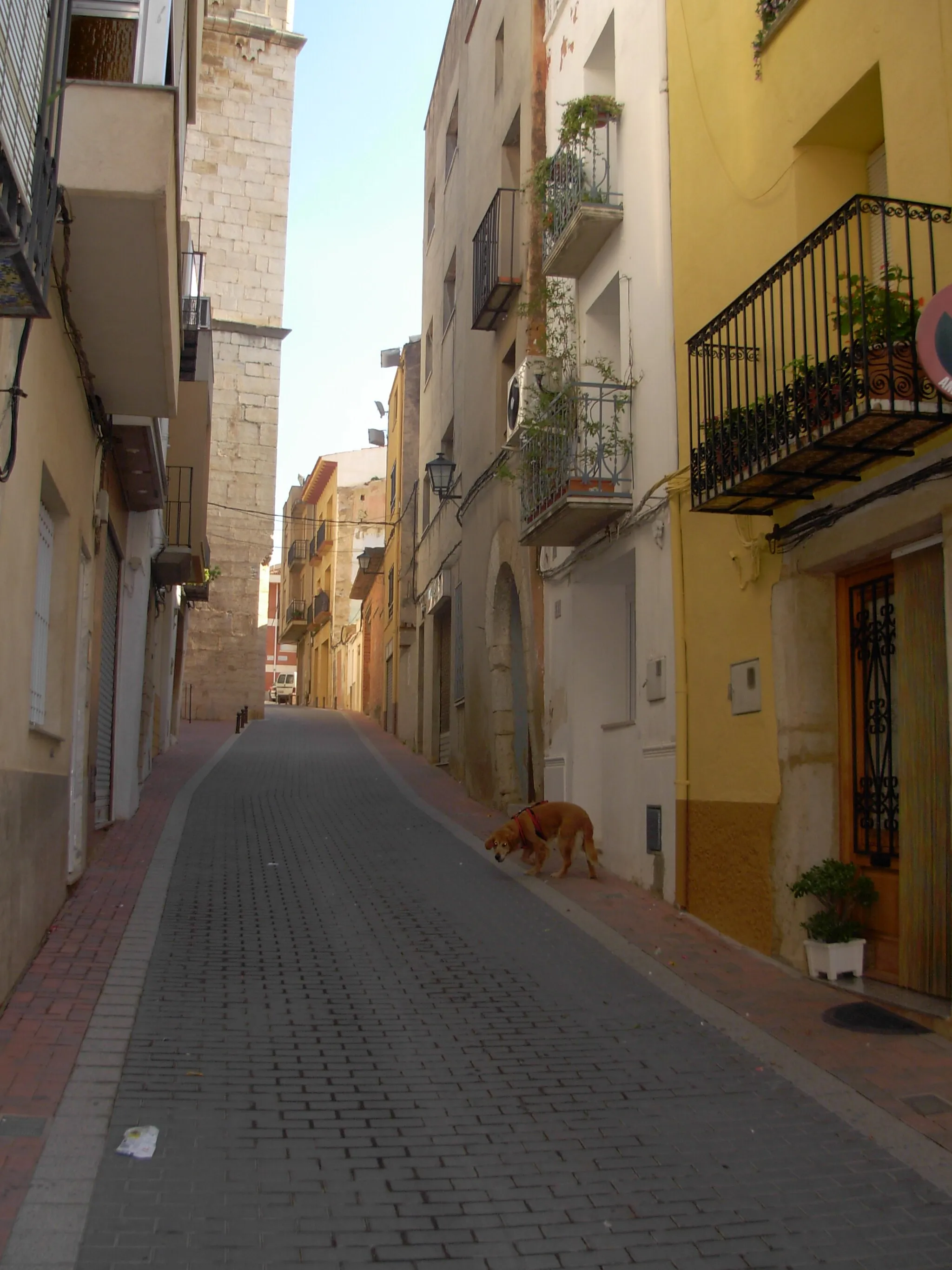 Photo showing: carrer major de càlig