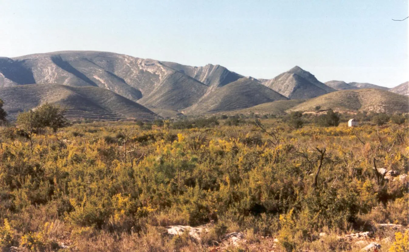 Photo showing: La Sierra del Caballón, en la parte más occidental del término de Catadau, provincia de Valencia.