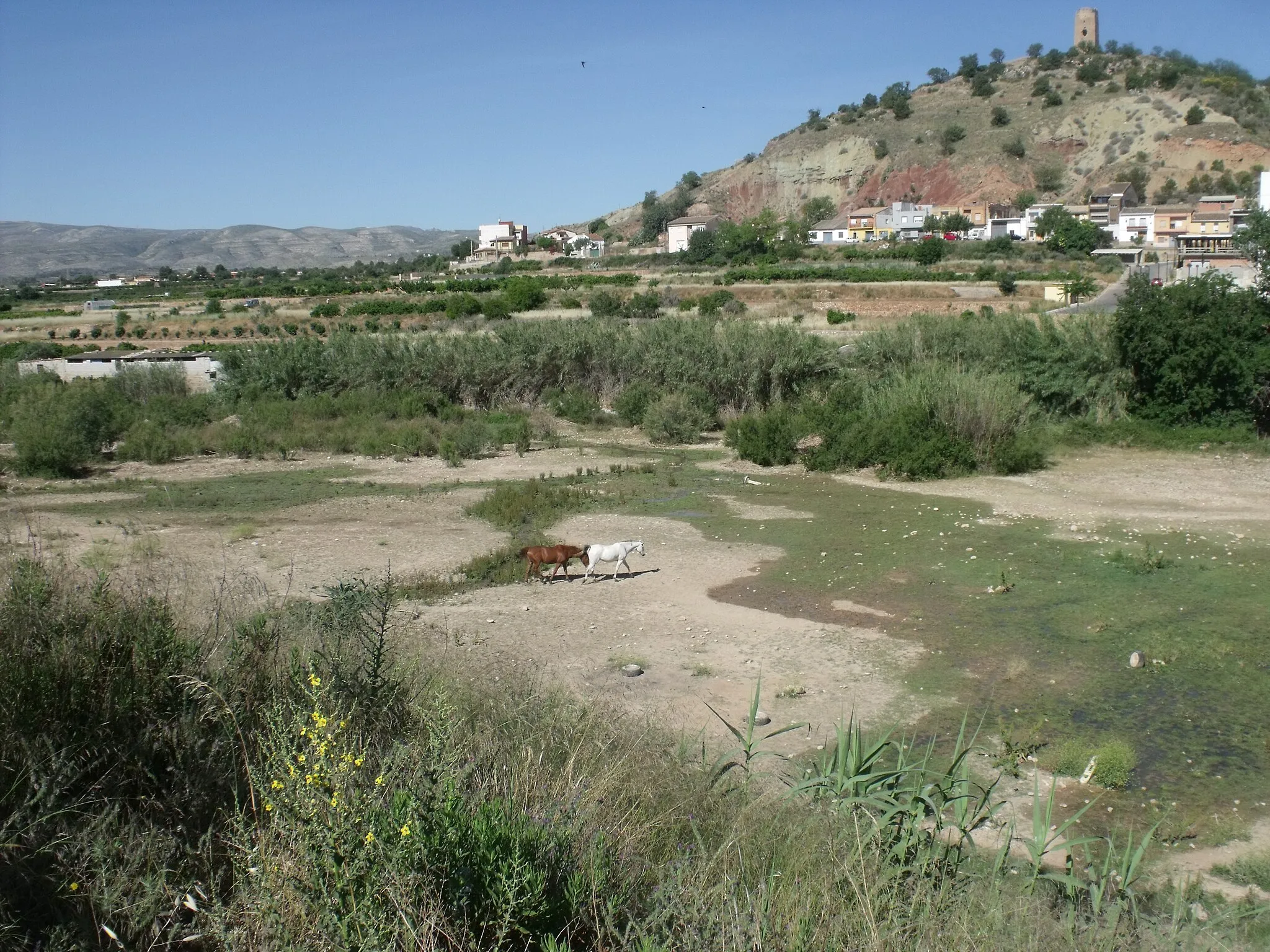 Photo showing: Cauce del río Magro entre Real y Montroy