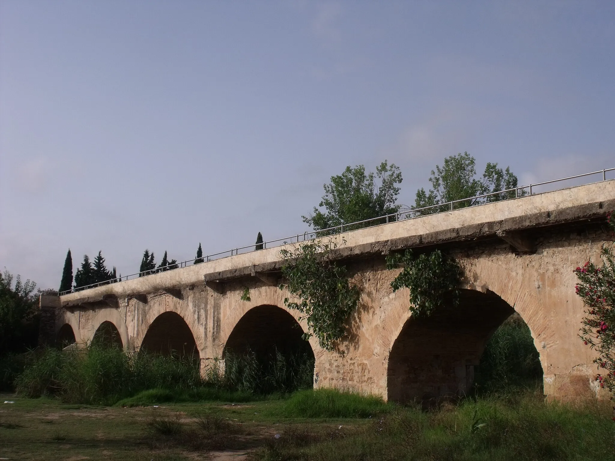Photo showing: detalle del puente viejo sobre el Turia en Ribarroja
