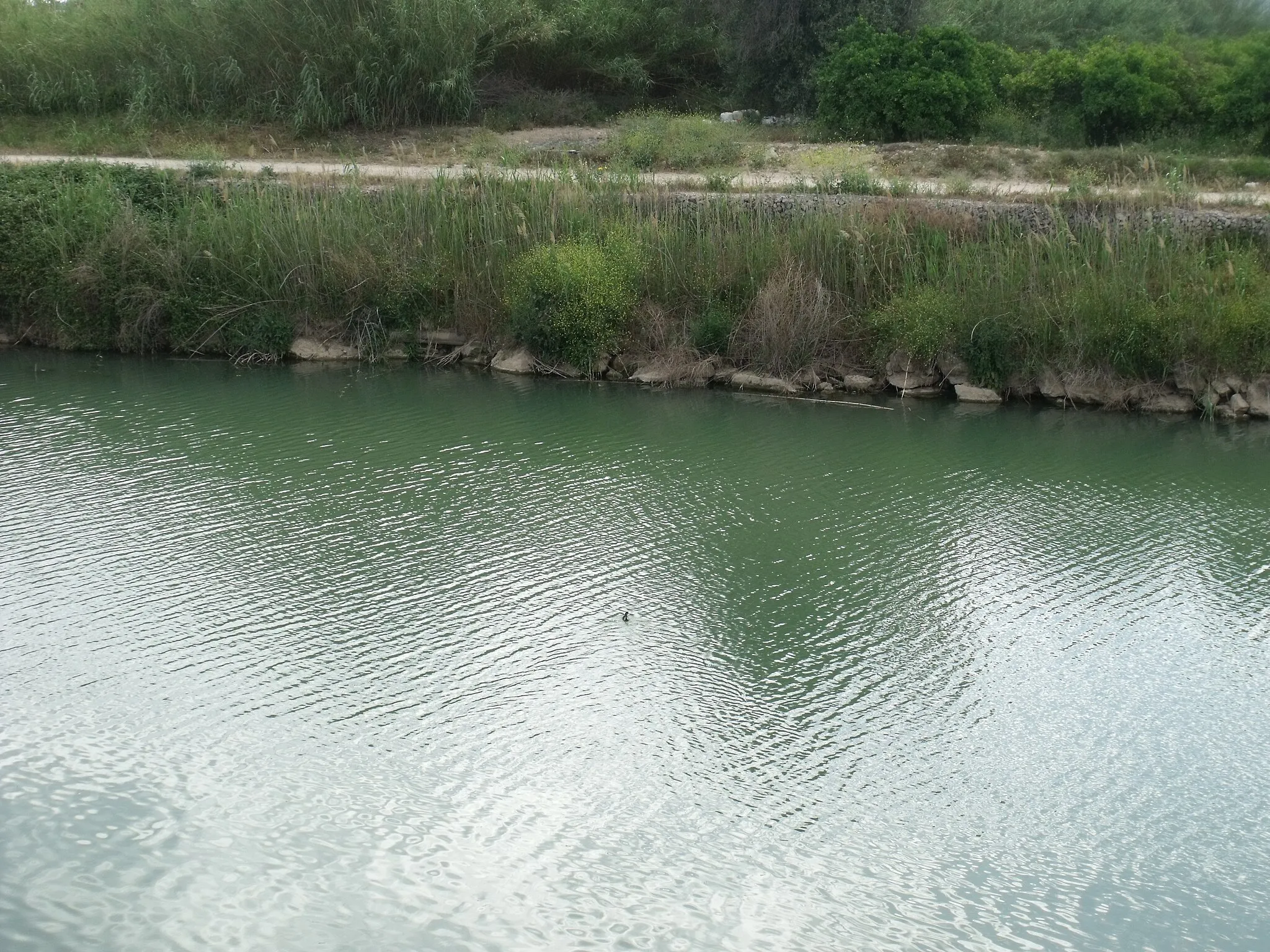 Photo showing: Júcar river between Riola and Sueca.