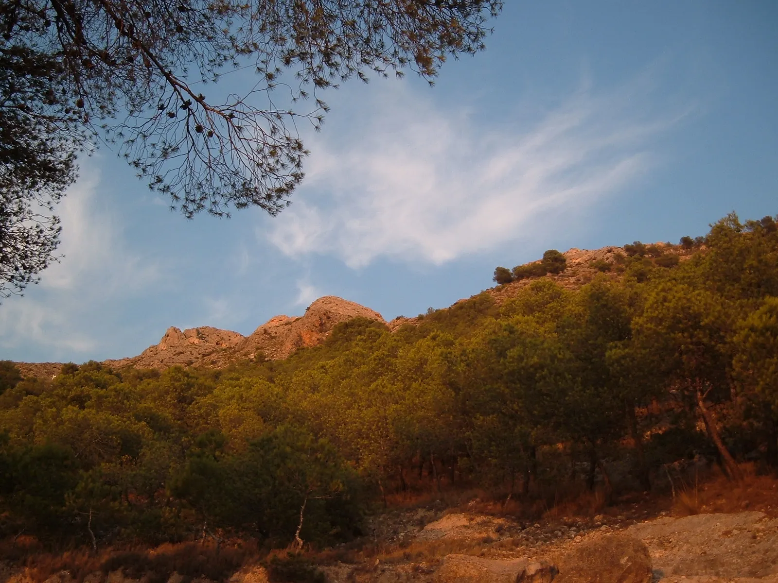 Photo showing: Sierra de la Villa de Villena hacia el atarceder. En lo alto pueden distinguirse las ruinas del Castillo de Salvatierra.