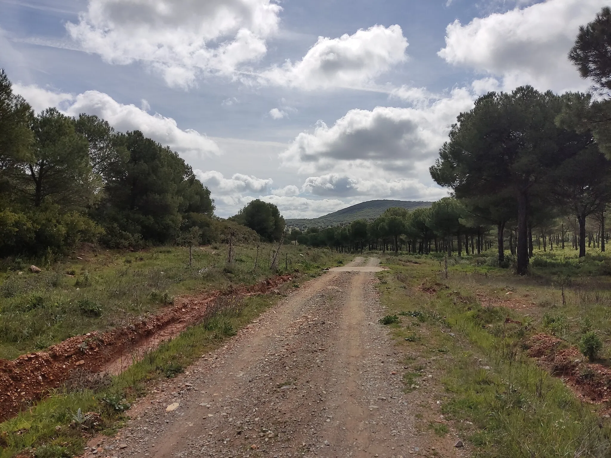 Photo showing: This is a photography of a Special Area of Conservation in Spain with the ID: