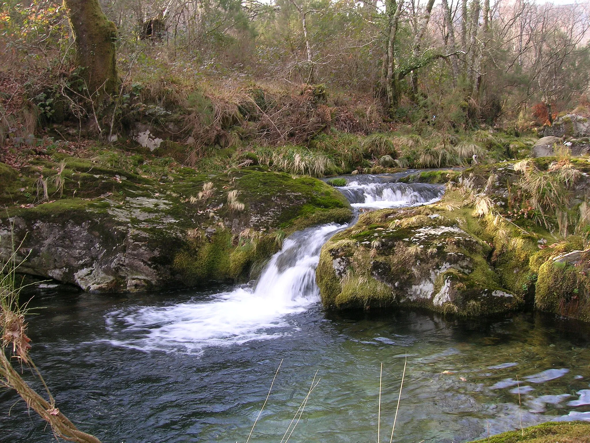 Photo showing: Fervenzas do río Cerves ó seu paso polosw bosques do Concello de Melón. Galicia 'Rio Cerves'