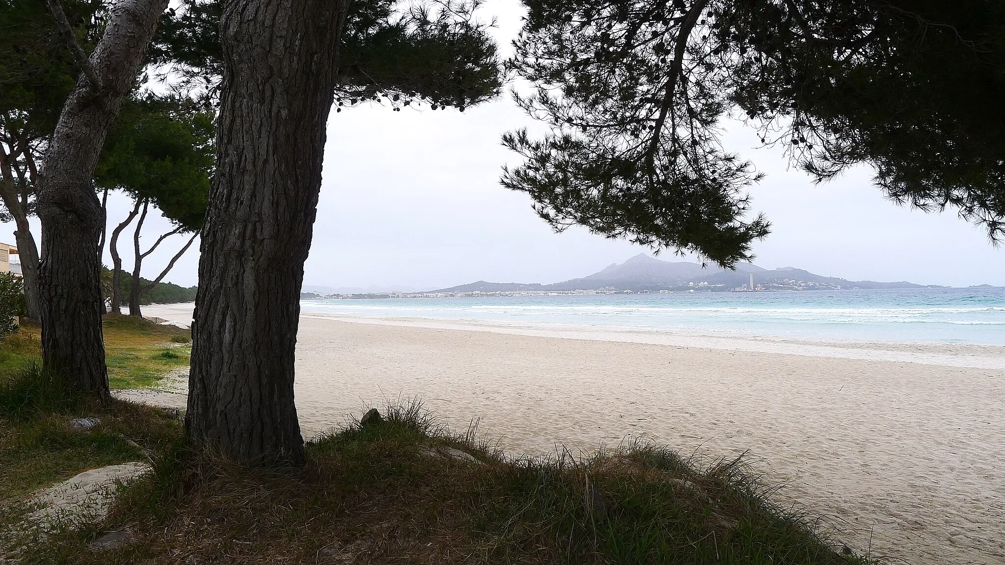 Photo showing: Preciosa playa de la costa norte de Mallorca