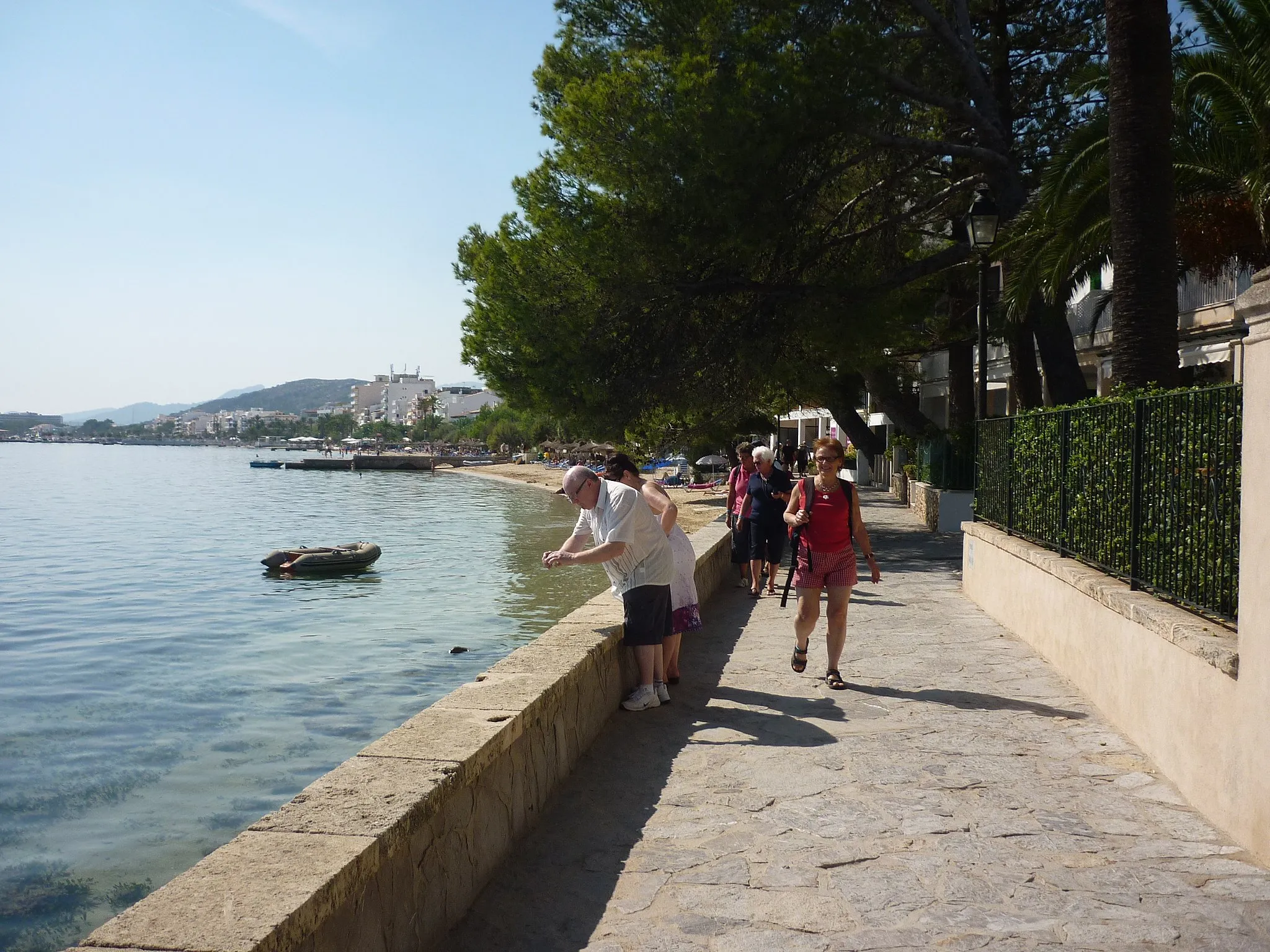 Photo showing: The famous Pine Walk, or promenade, at Puerto de Pollenca - a great start to a holiday there.