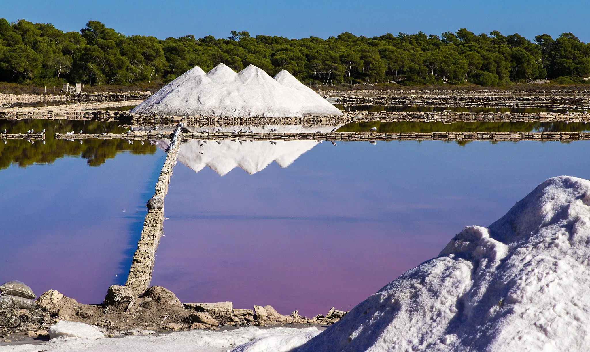 Photo showing: Salt evaporation pond in Ses Salines.