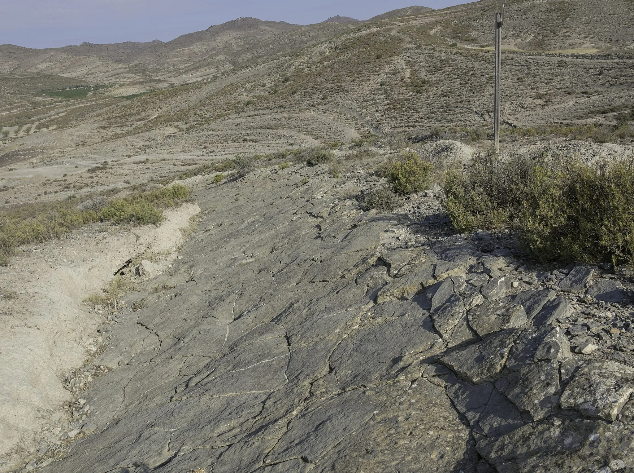 Afbeelding van Cervera del Río Alhama