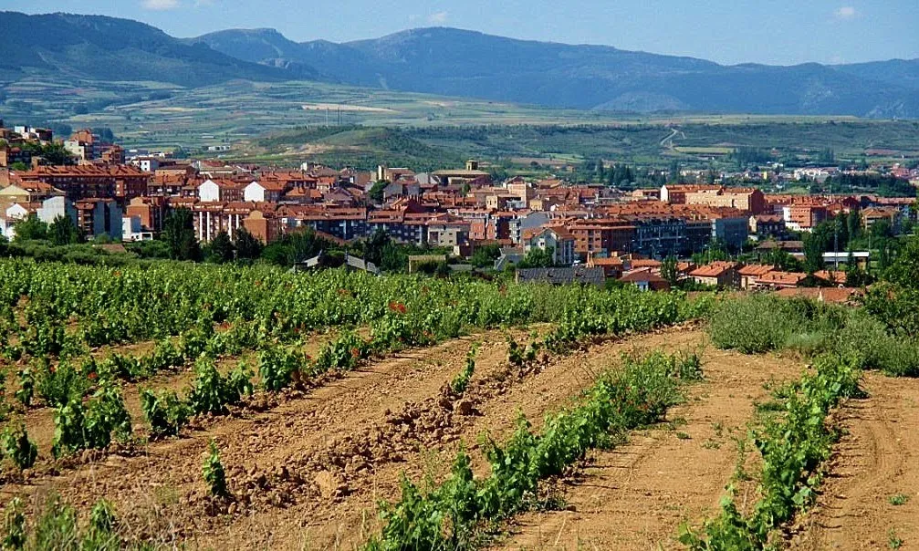 Photo showing: Villamediana de Iregua y viñedos