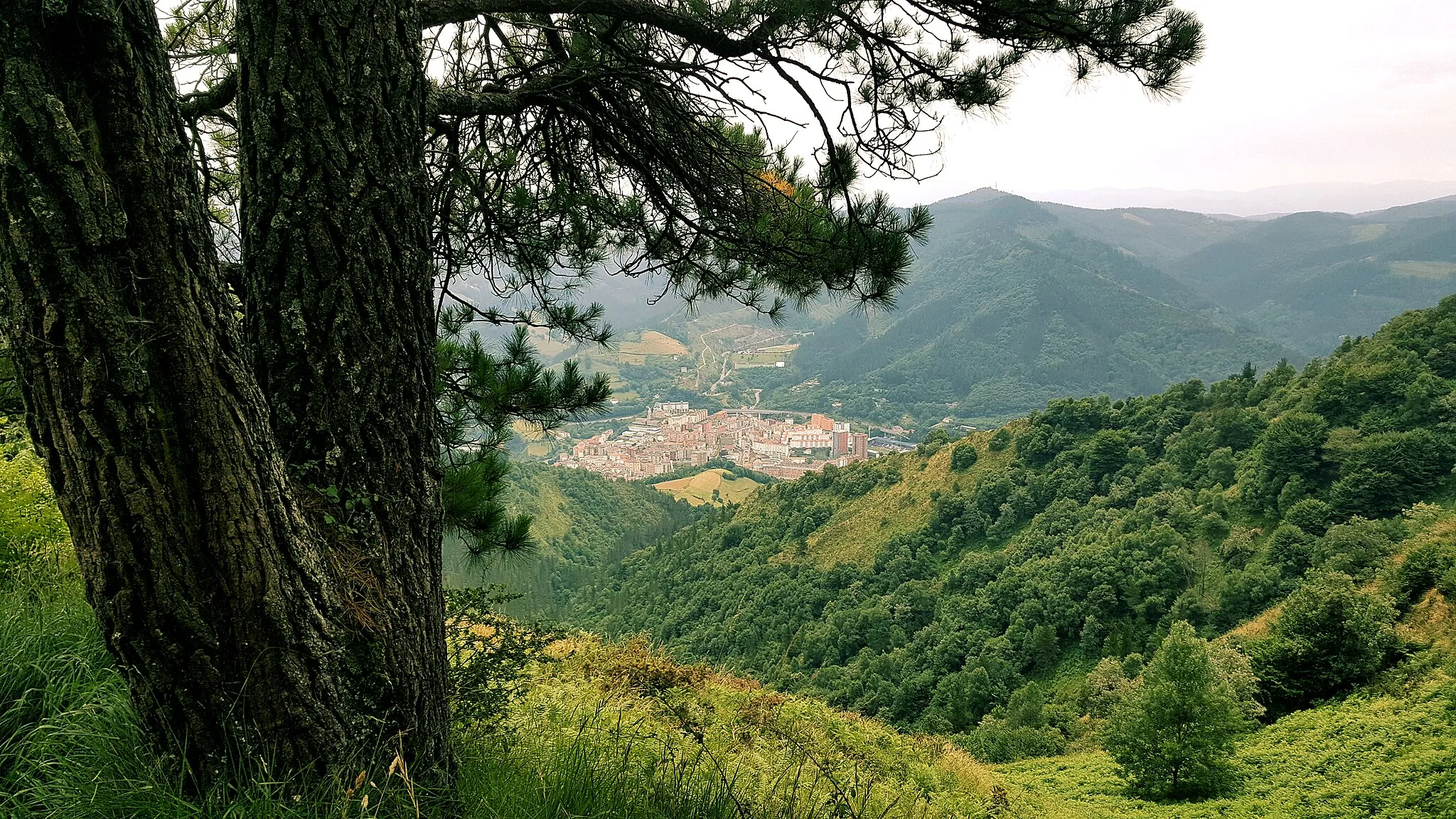 Photo showing: The city of Eibar seen from Mount Urko