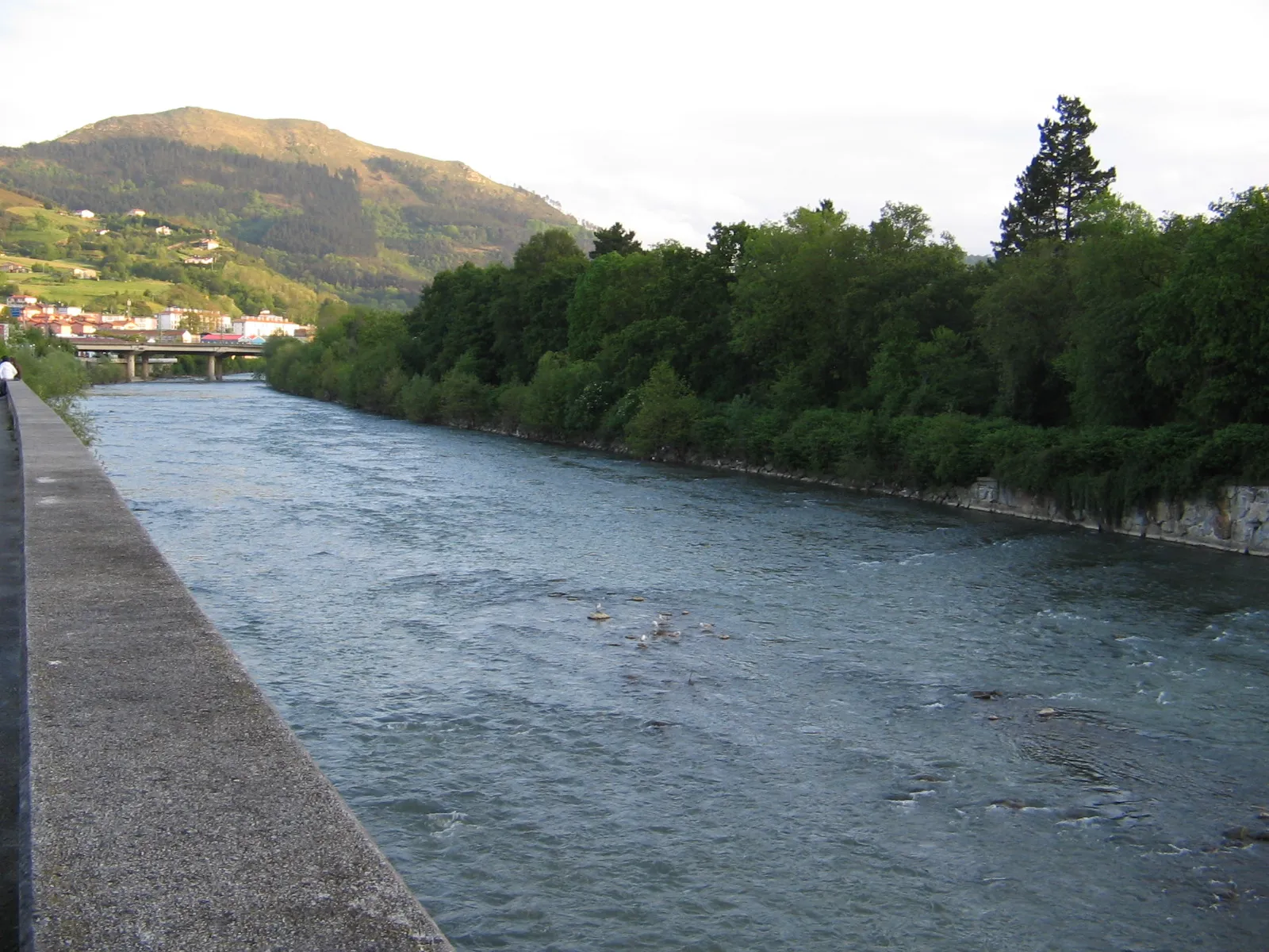 Photo showing: The Oria river on Lasarte-Oria