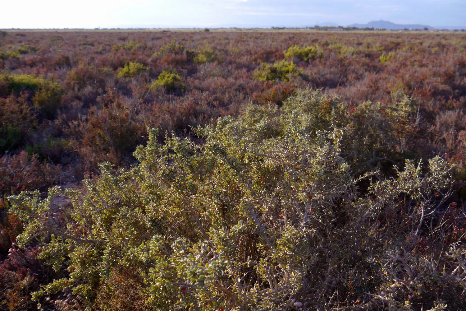 Billede af Región de Murcia