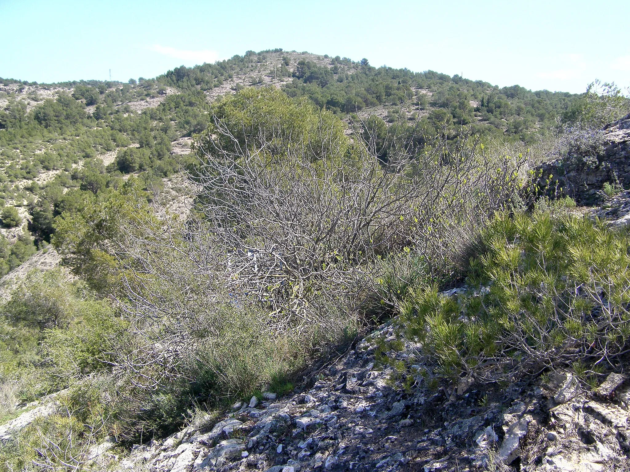 Obrázek Región de Murcia