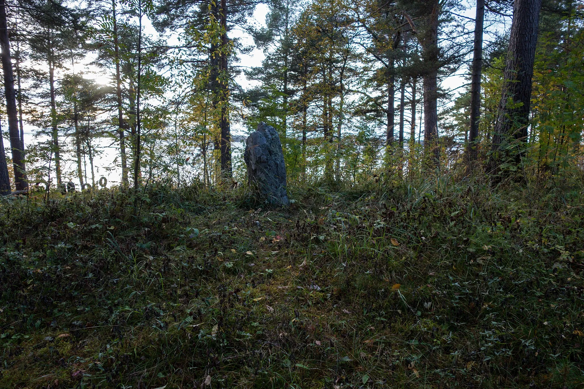 Photo showing: Ås 13:1 Kullen med stenen är en Vikingagrav från 900-talet