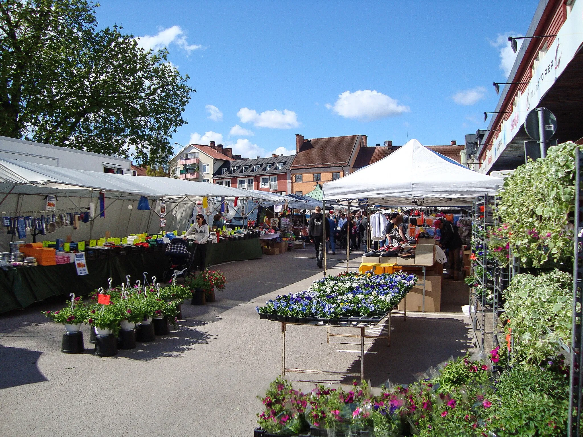 Photo showing: Hedemora annual summer market 2009.