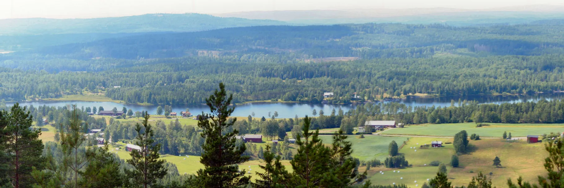 Photo showing: This picture shows a view from the tower on the hill Renstadsnipan in Sweden.