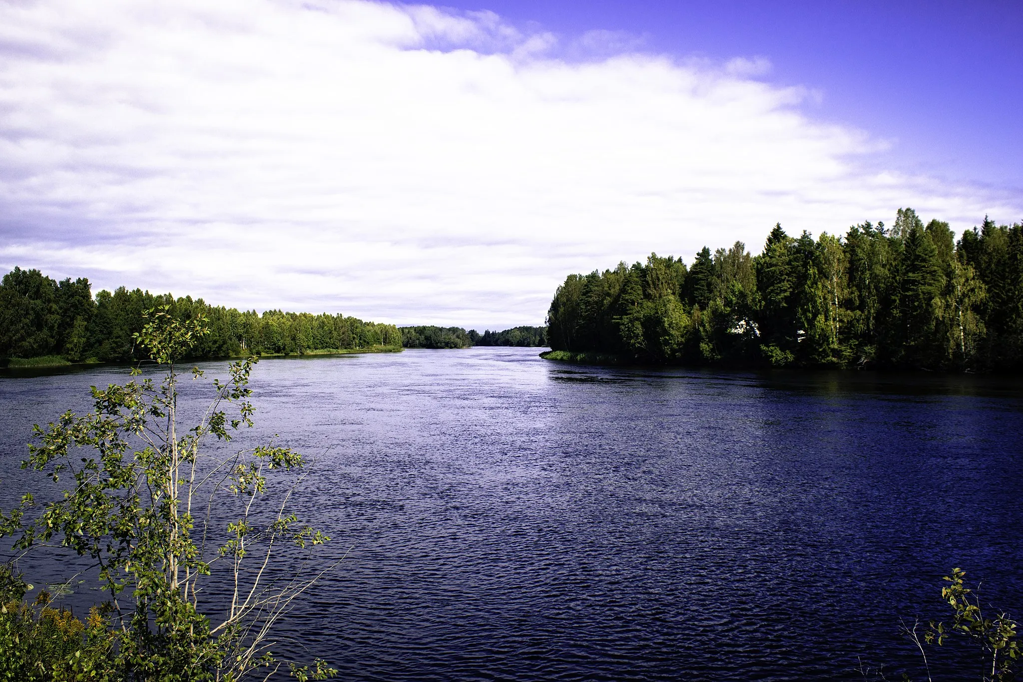 Image of Skåre