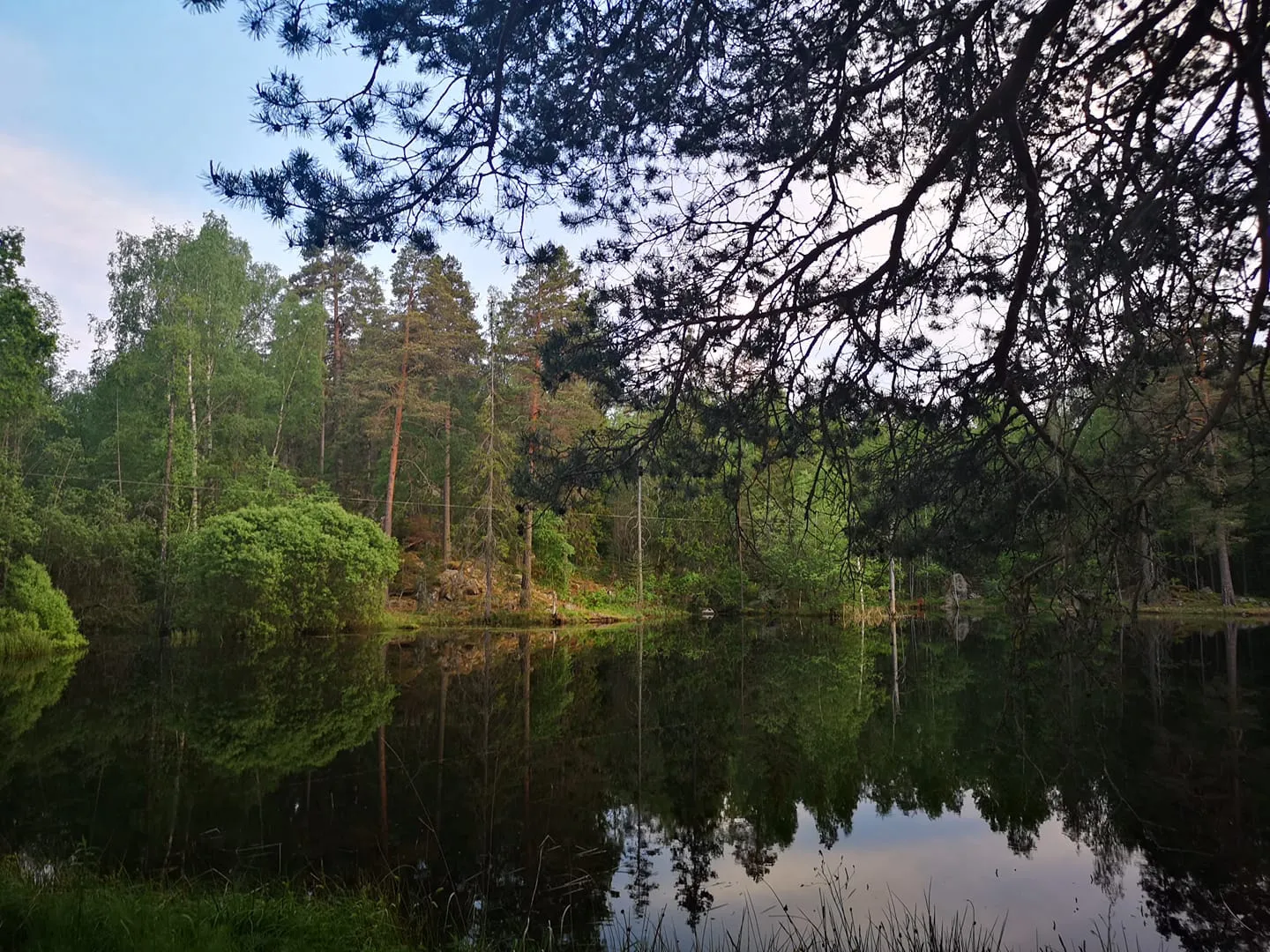 Photo showing: 500px provided description: A Secret Lake [#lake ,#river ,#tree ,#pond ,#sweden ,#photography ,#stream ,#riverbank ,#footbridge ,#weeping willow ,#willow tree ,#flowing water ,#punting ,#standing water ,#Arboga ,#huaweiphotography]