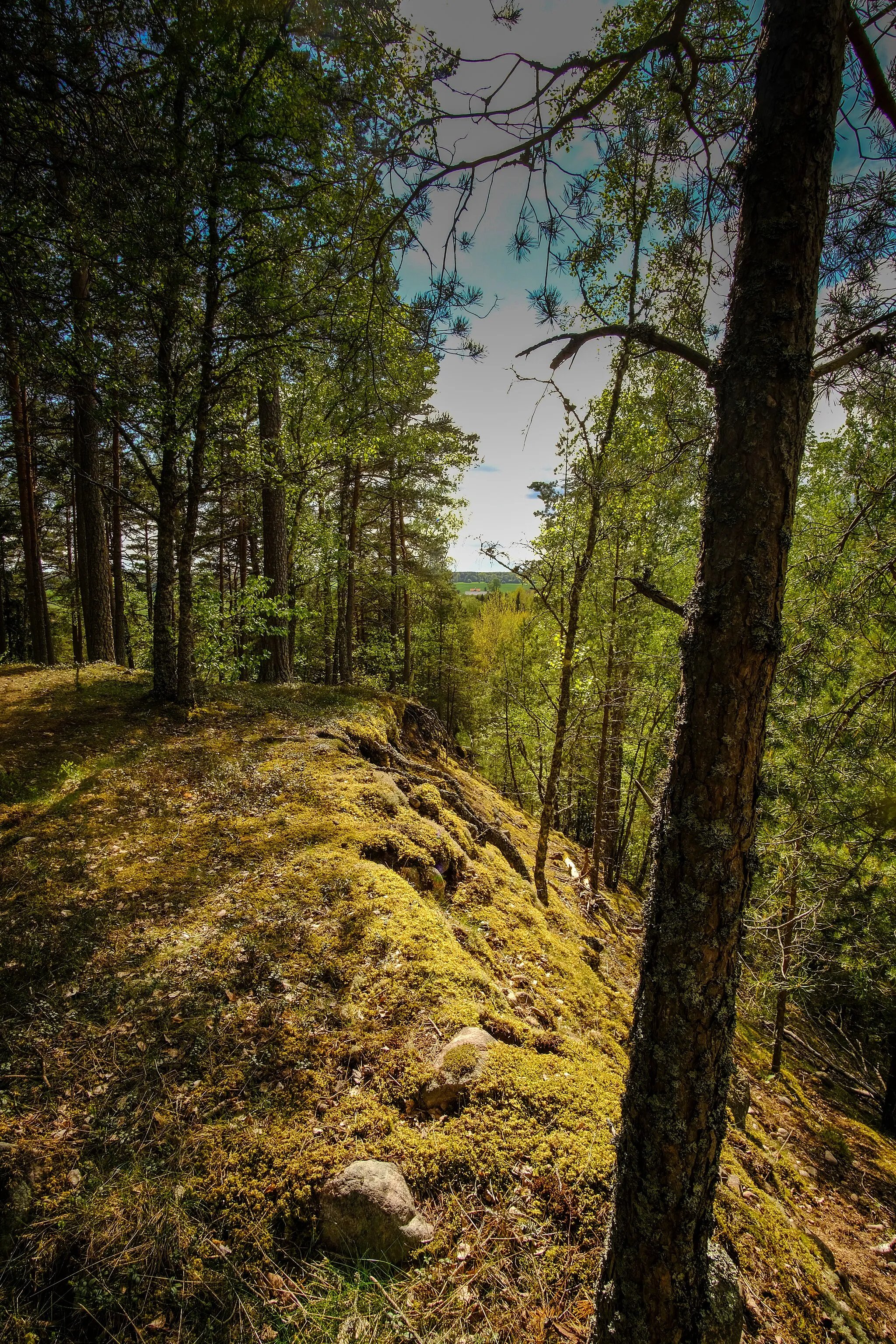 Photo showing: Utsikt från Högstaåsen.