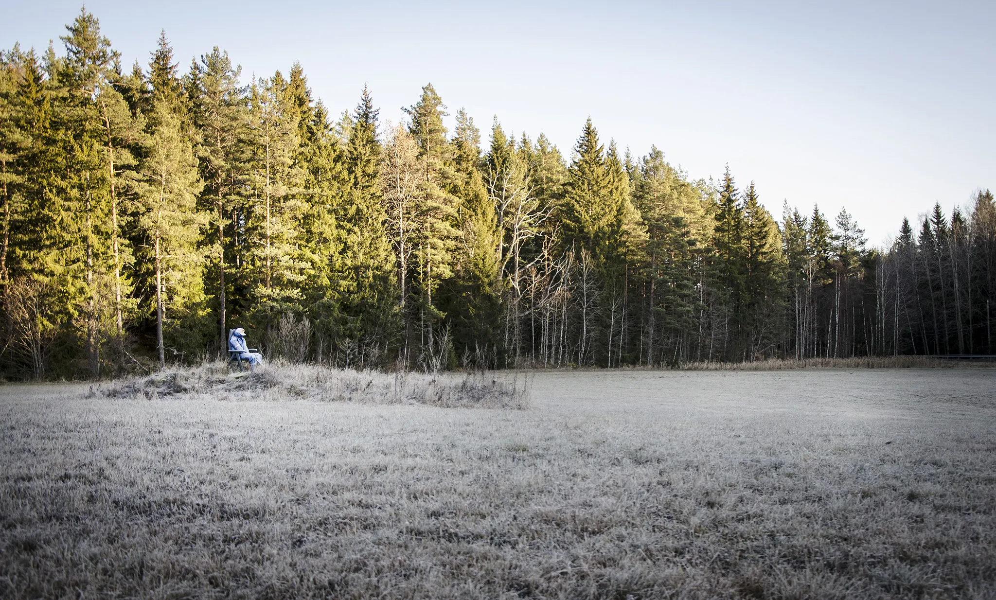 Photo showing: 500px provided description: Weird sighting one day this winter [#landscape ,#woods ,#odd ,#Forest]