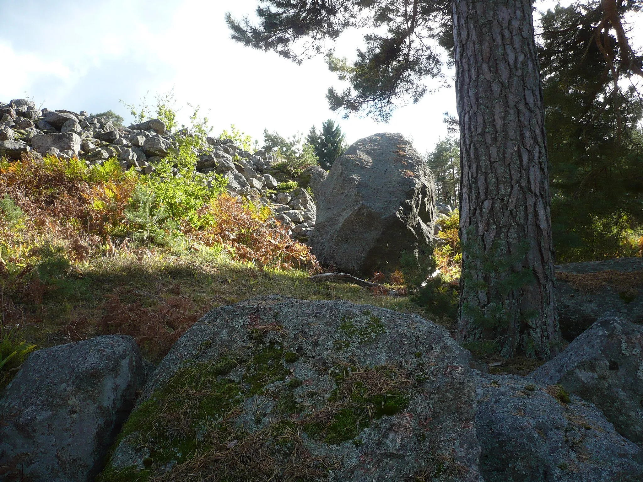 Photo showing: Borgby skans, hillfort in Kolbäck, Hallstahammars municipality, Västmanlands county, Sweden, 2011.