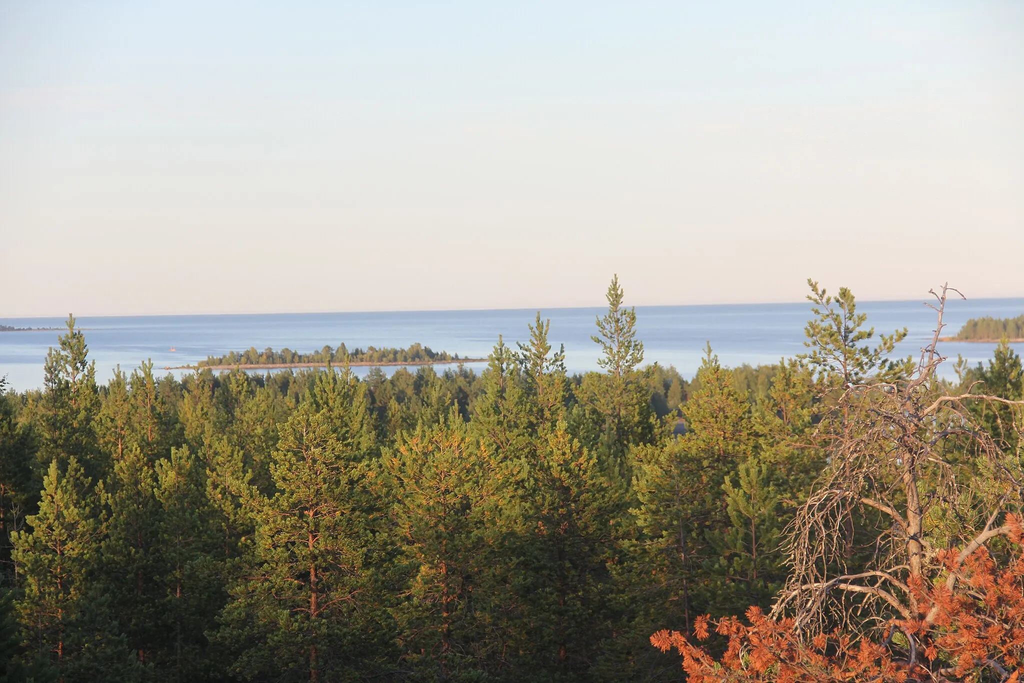 Photo showing: Furuögrund View