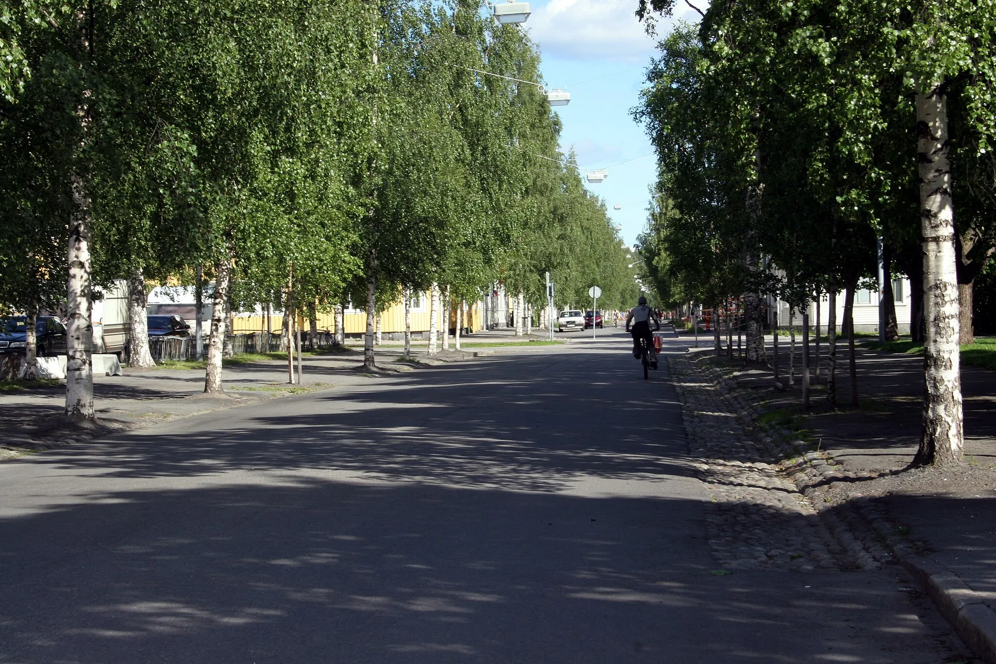 Photo showing: Kungsgatan in Umeå, Sweden. Typical street of Umeå with birches planted along the sides of the street.