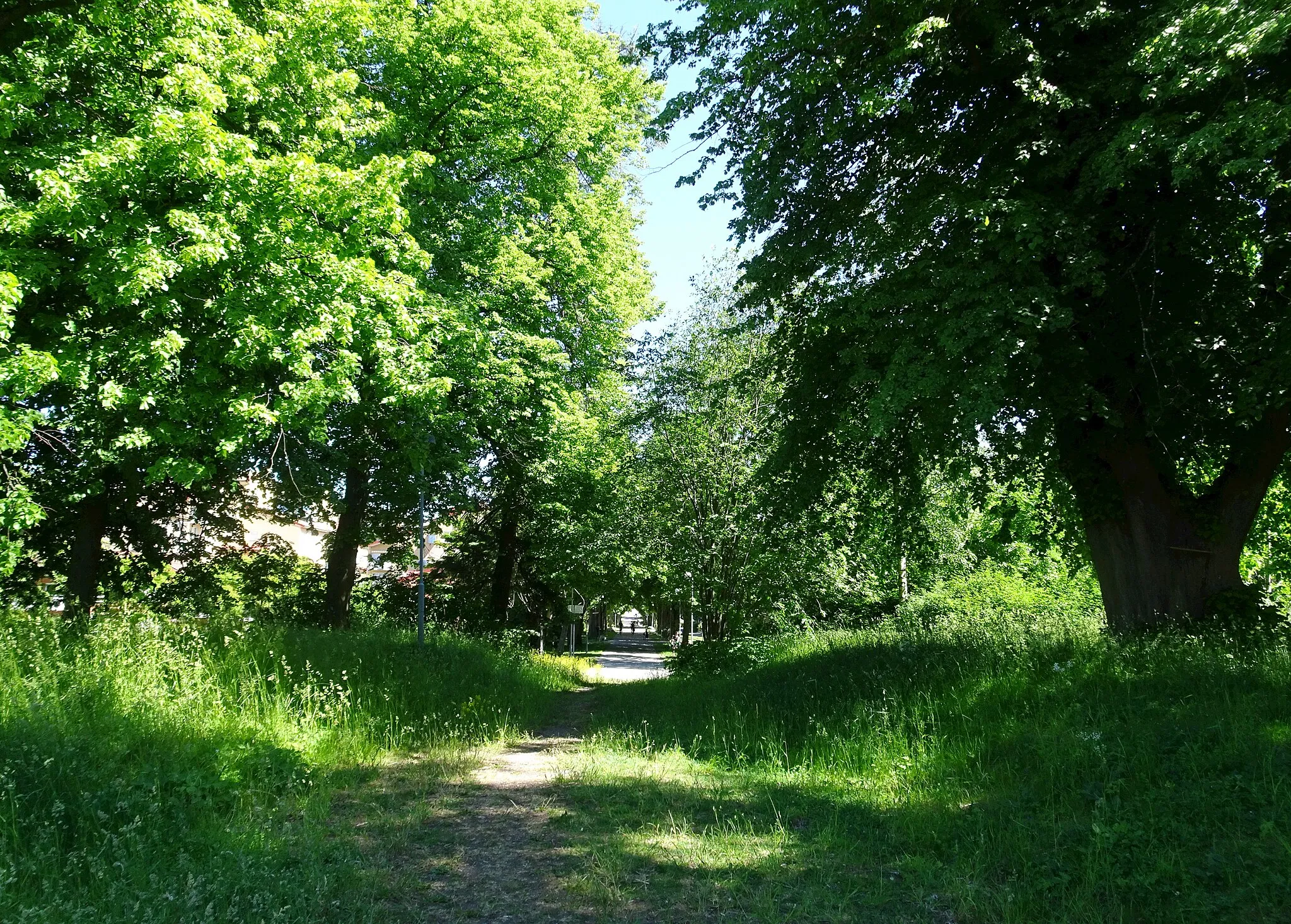 Photo showing: Bergshamra allé österut, gick en gång i tiden fran till Bergshamra gård