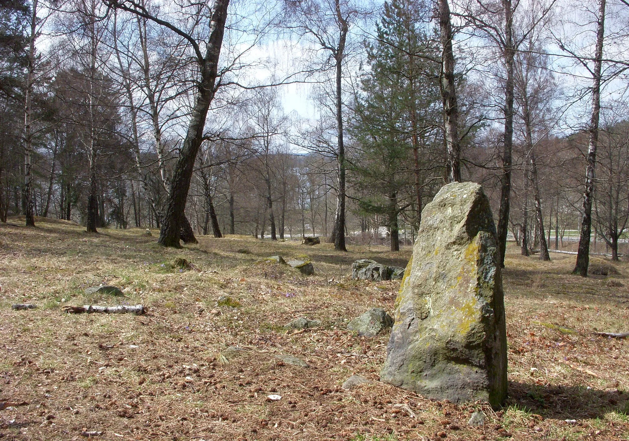 Photo showing: Vikingatida gravfält vid Vårby allé