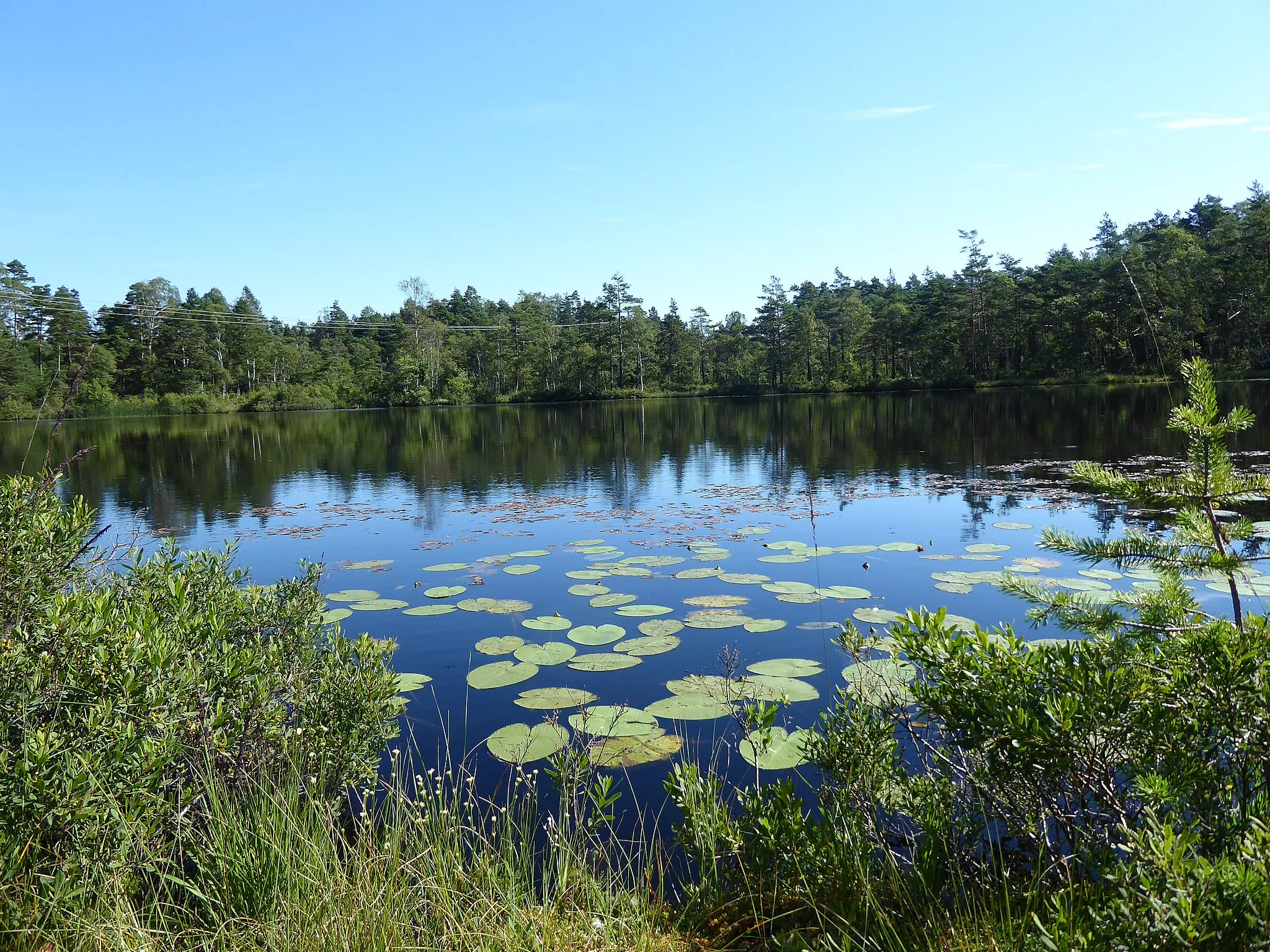 Image of Västsverige