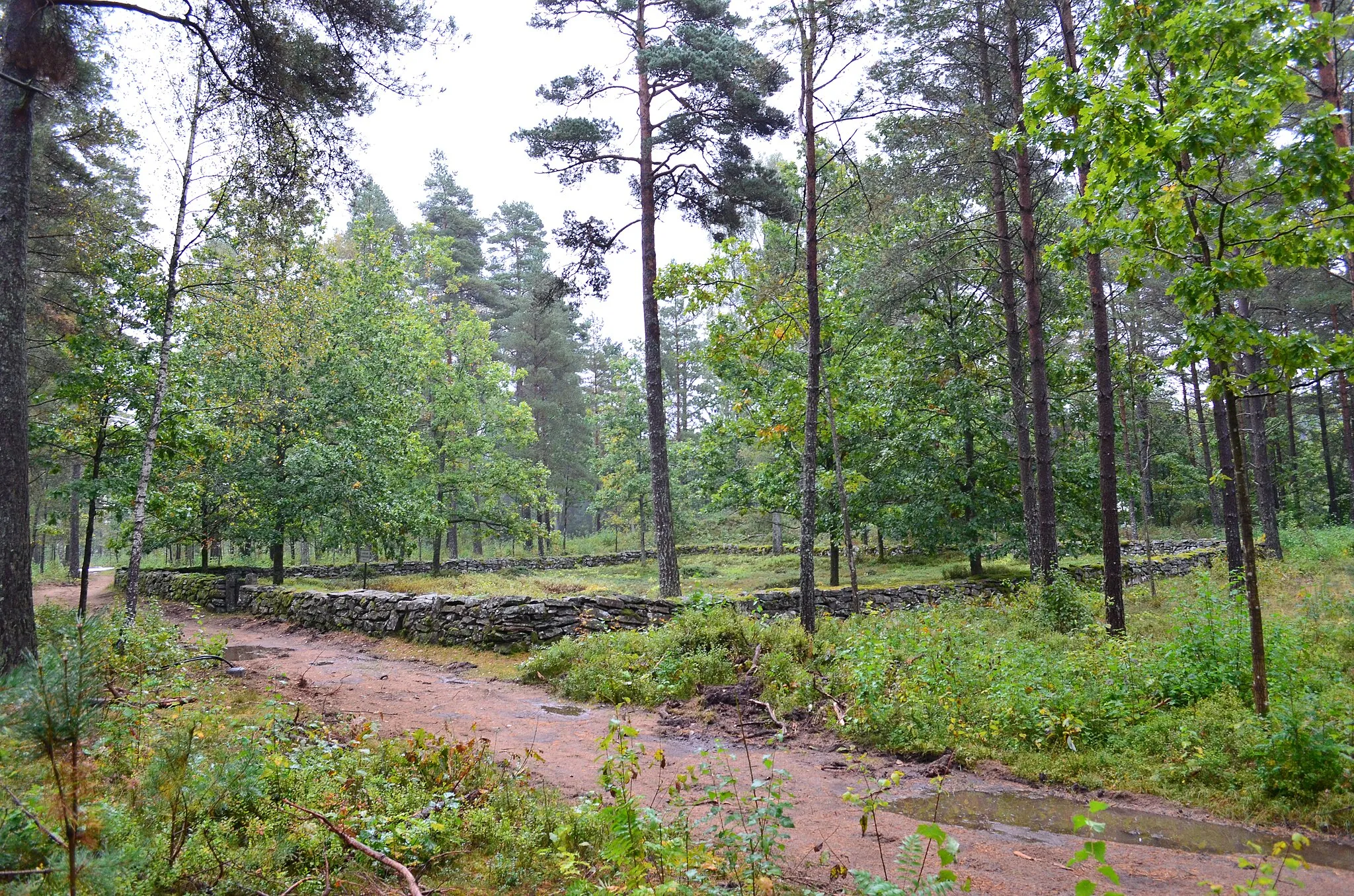 Photo showing: Björketorps cholera cemetery in Rävlanda that, acording to a sign at the site, was founded around 1835.