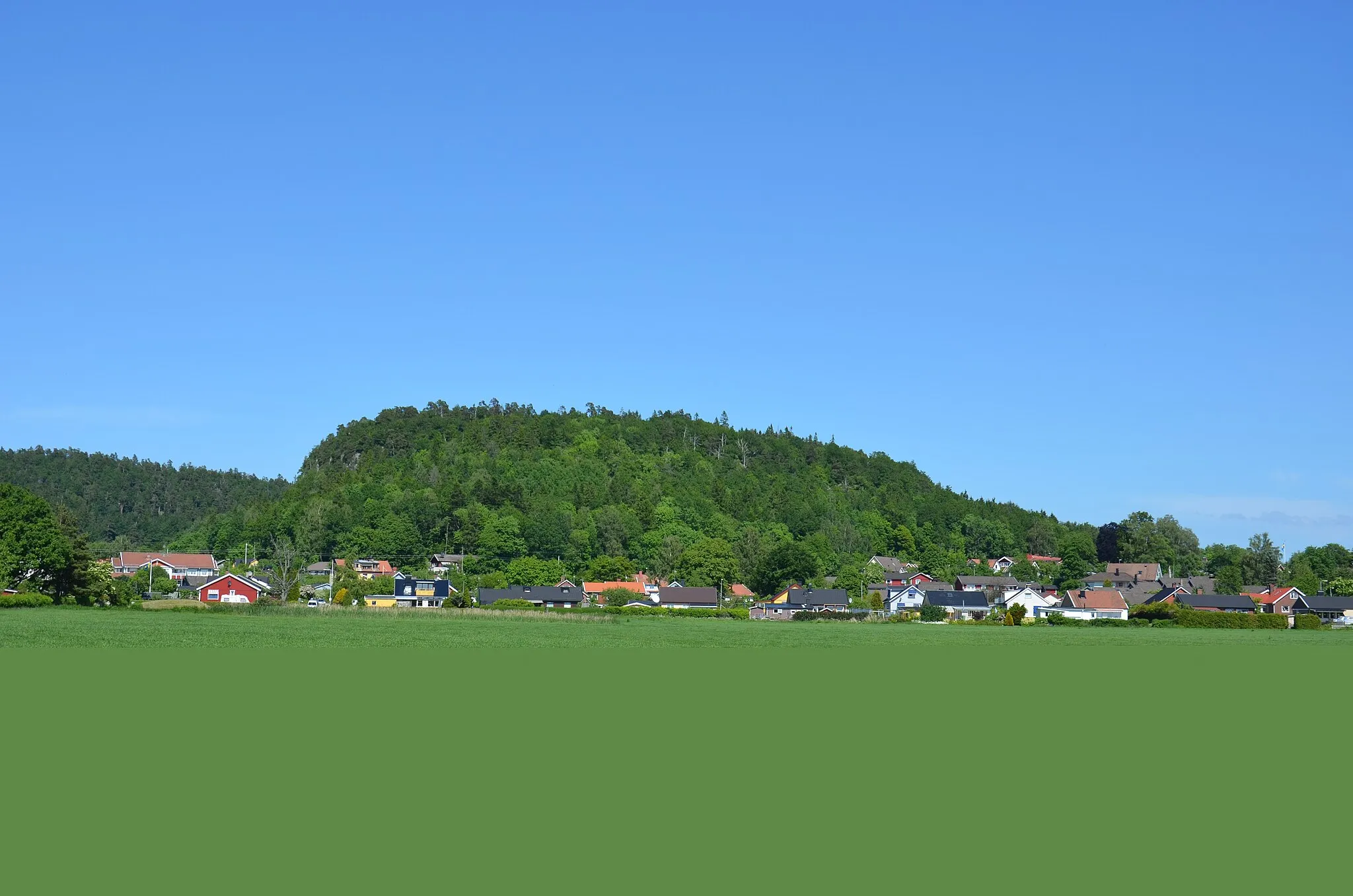 Photo showing: Halleberg eastwards from Vargön