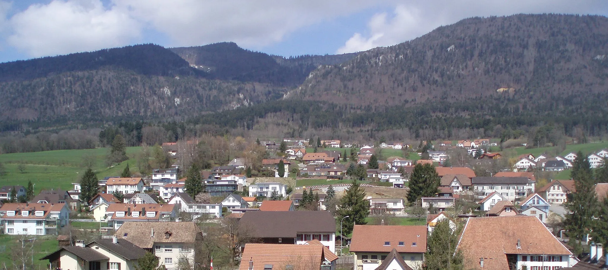 Photo showing: View to Bettlachberge/Switzerland