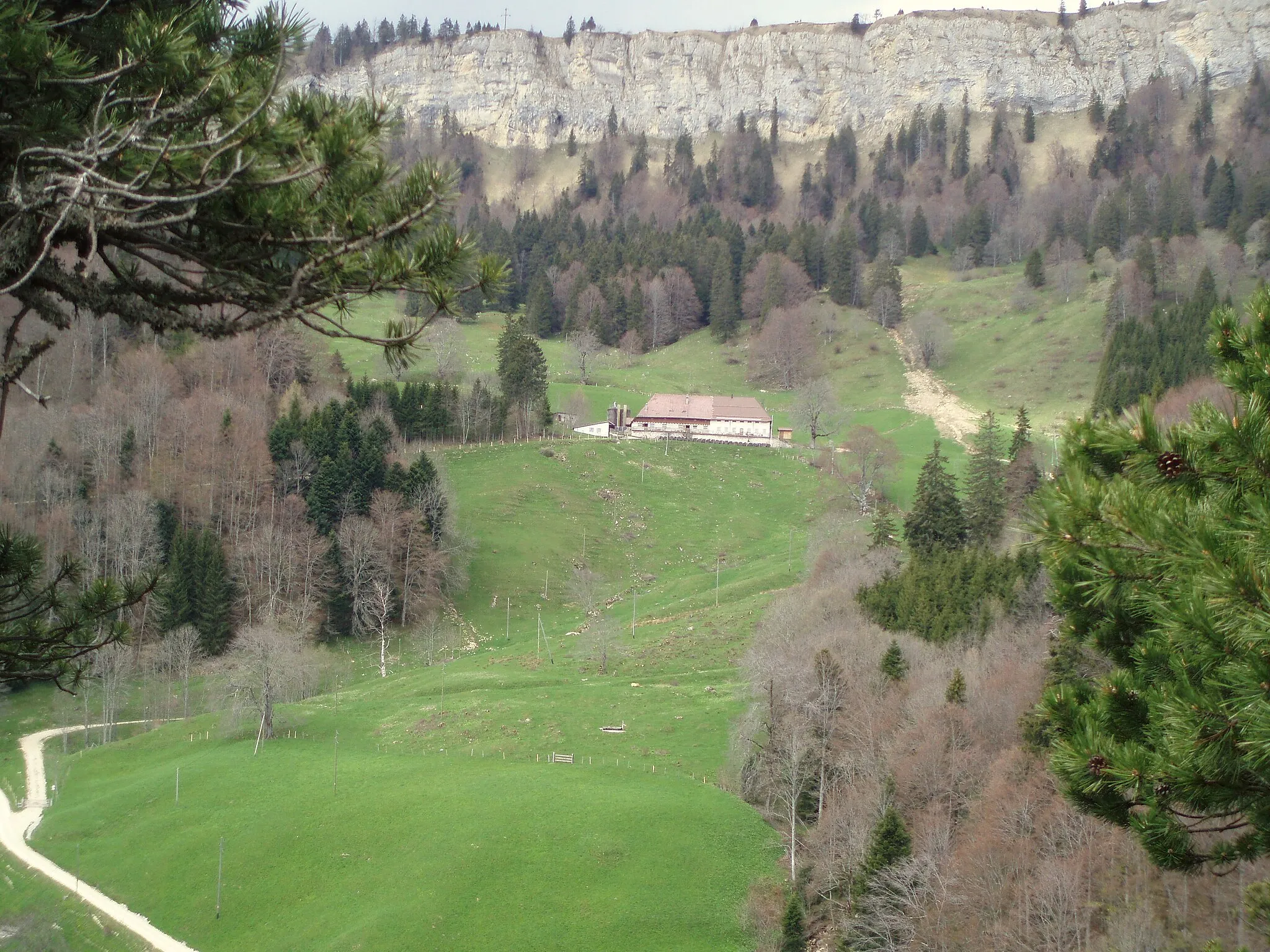 Photo showing: Woodland Restaurant "Bettlachberg" in May 2008. Behind the restaurant, you see the "Wandflue", a rock face. It's Bettlach's landmark.