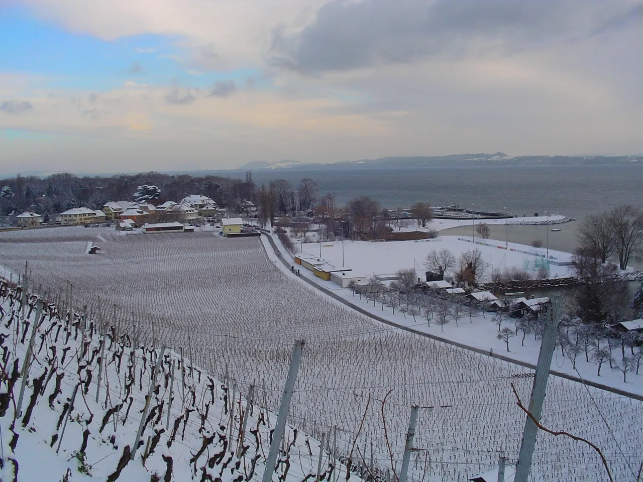 Photo showing: Vue de Cortaillod, avec ses vignes et son port sur le Lac de Neuchâtel