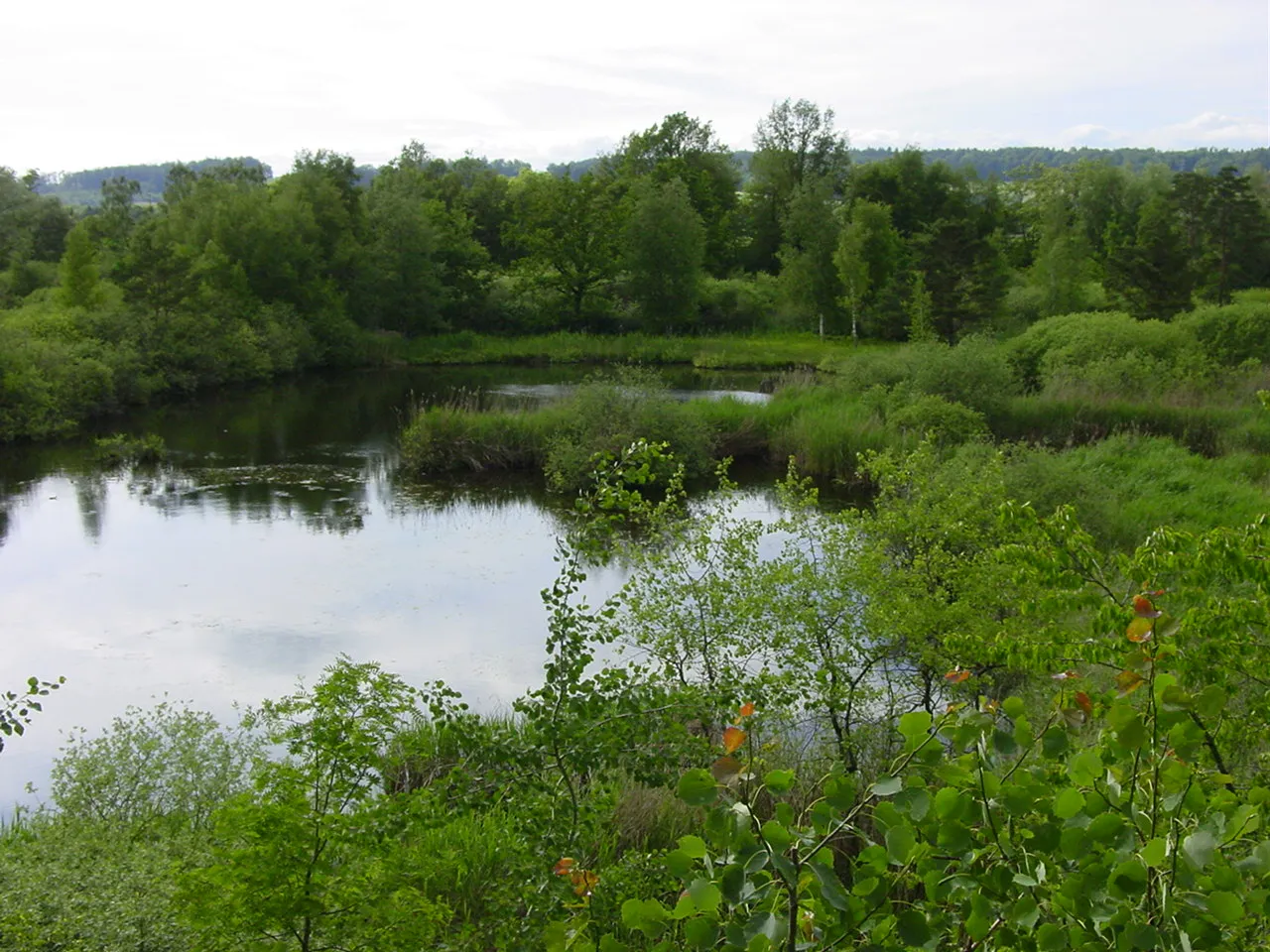 Bild von Düdingen