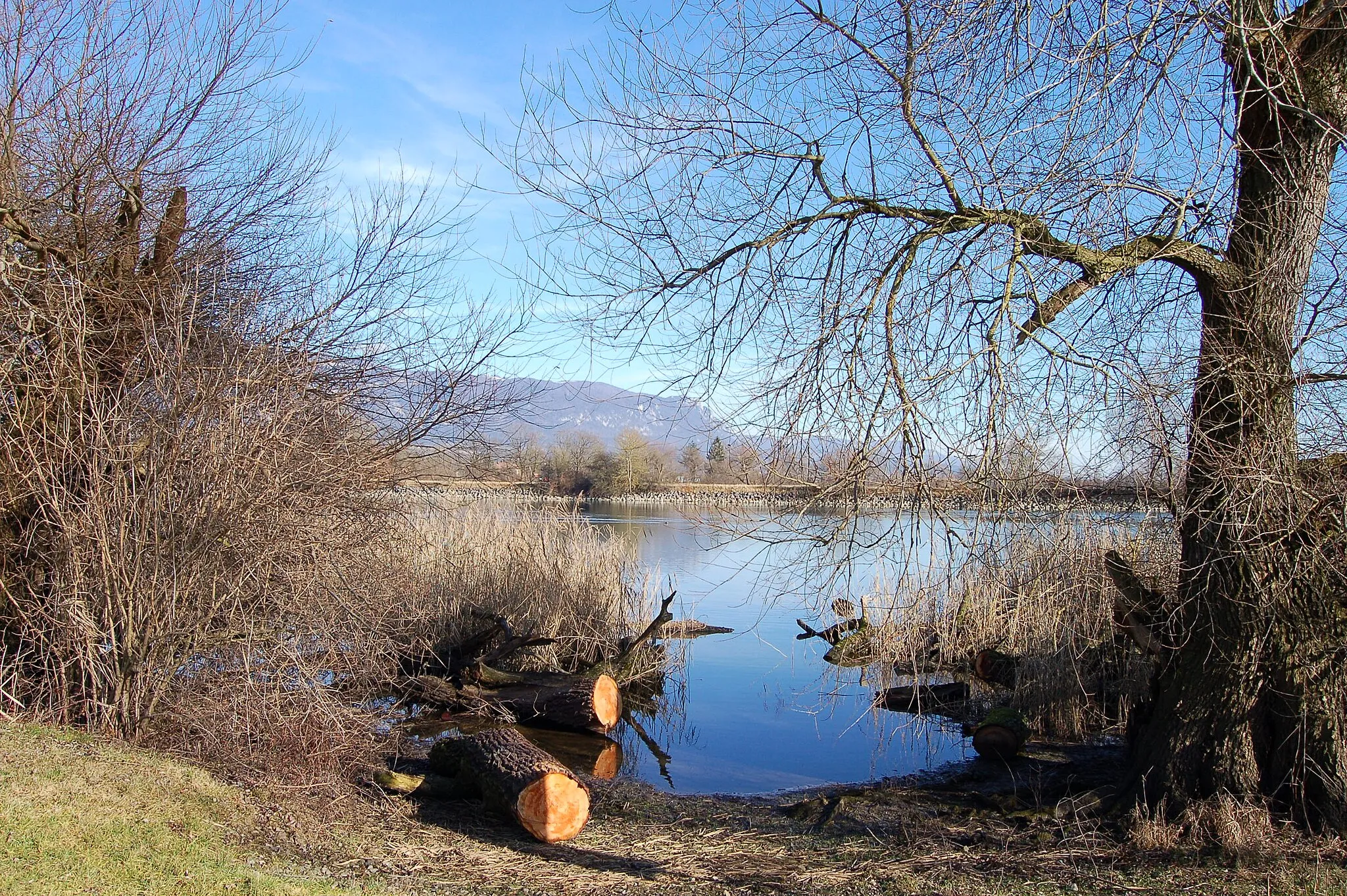 Photo showing: Aare bei Grenchen richtung Altreu