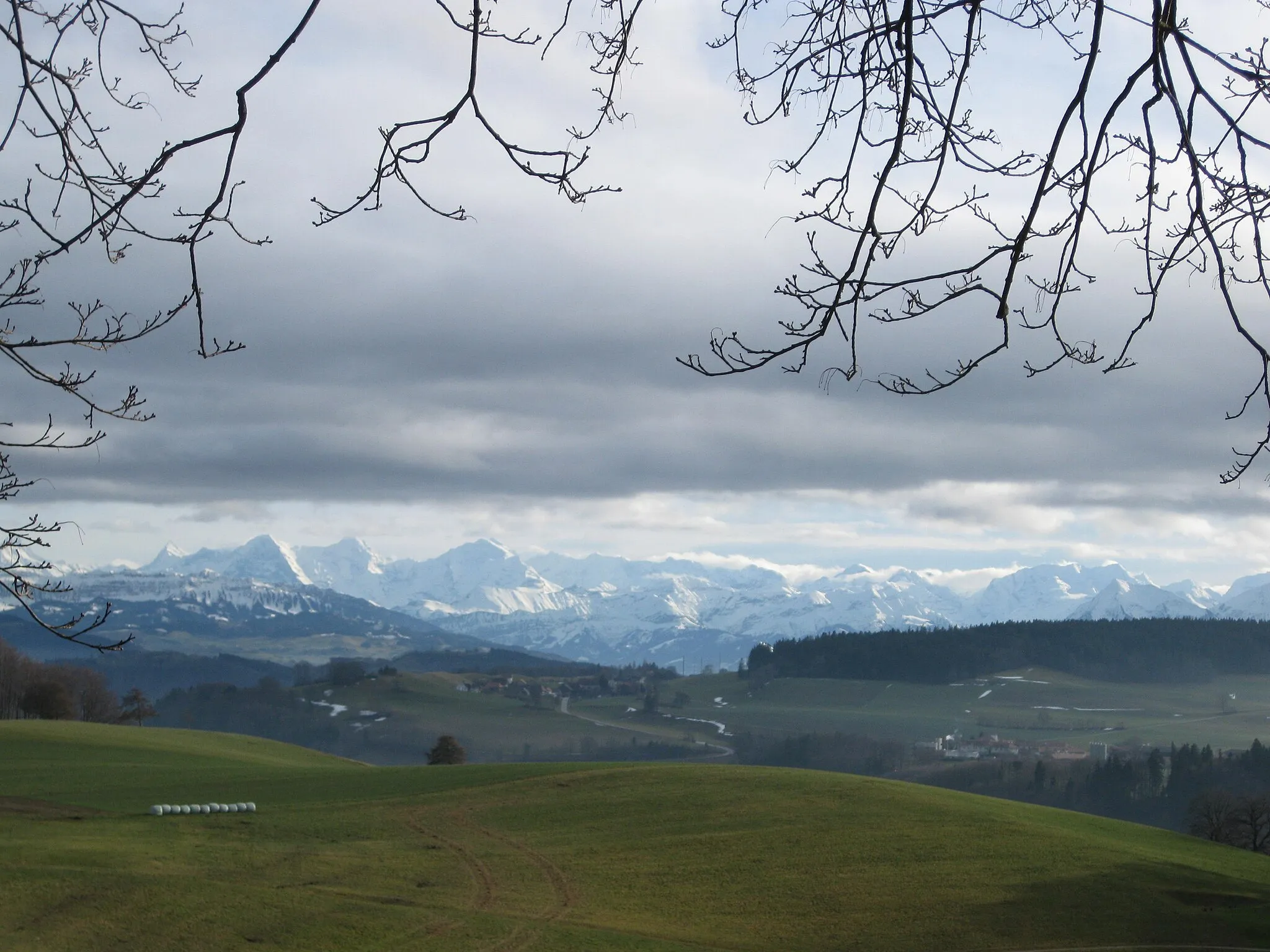 Photo showing: From Gurten East signal to Alps