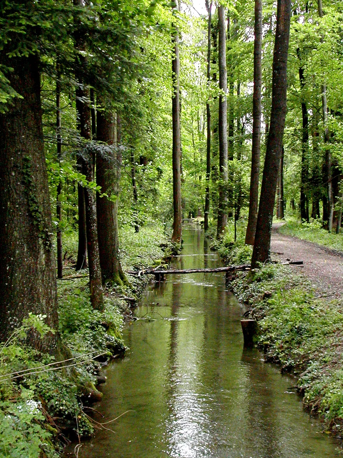 Photo showing: Stream in Luterbach, Switzerland