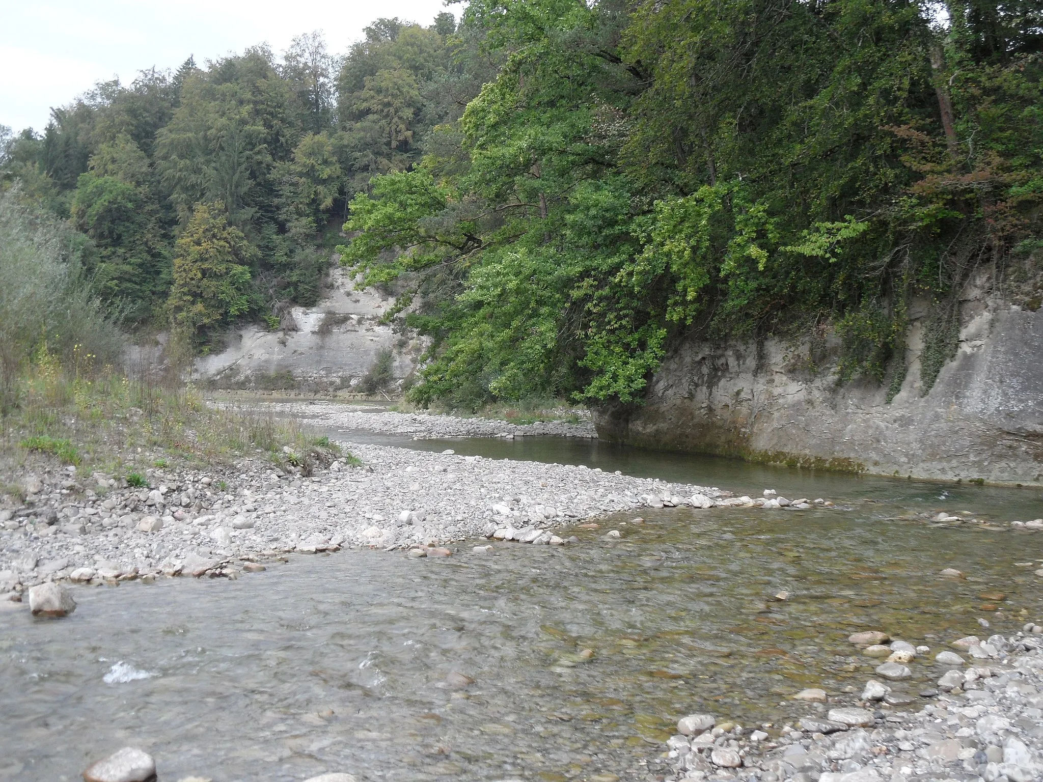 Photo showing: Embouchure de la Gérine dans la Sarine au lieu-dit Au Port à Marly, canton de Fribourg en Suisse.