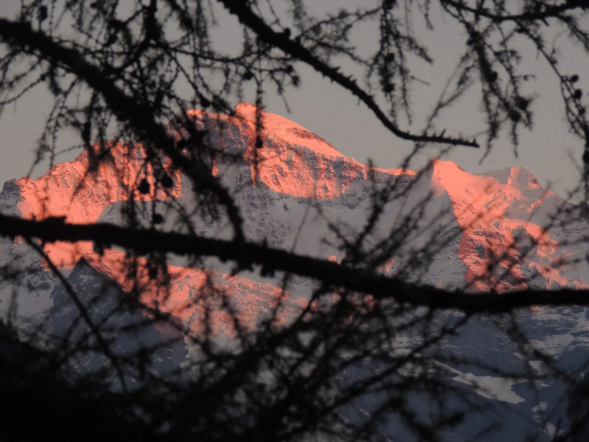 Photo showing: Sunset on Jungfrau.